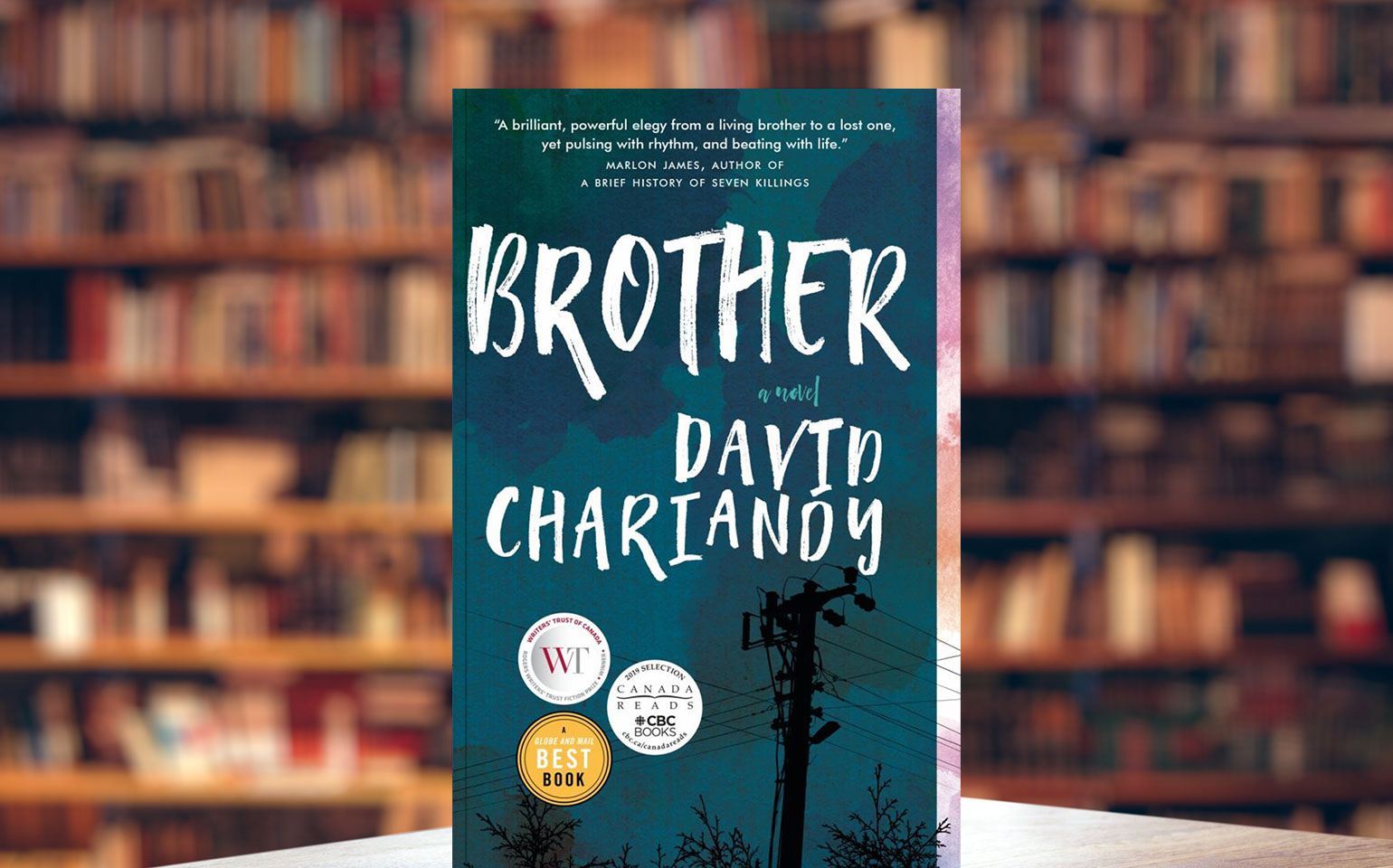 The cover of David Chariandy's "Brother" is shown against the backdrop of bookshelves. It depicts powerlines against a blank, cloudy sky.