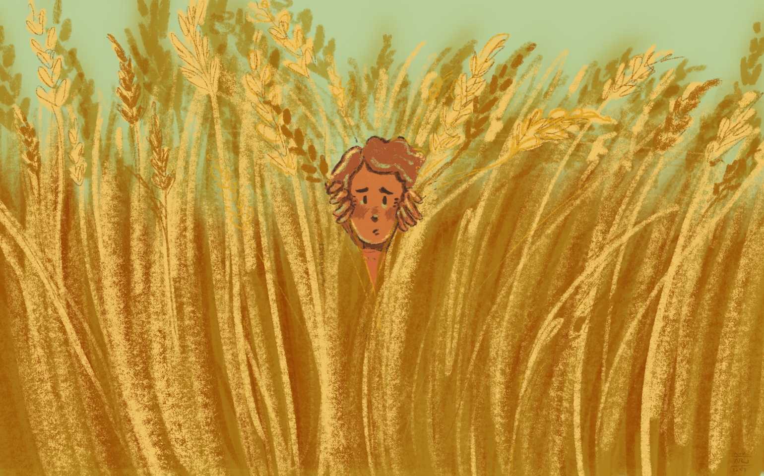 A person peers out timidly from a wheat field.