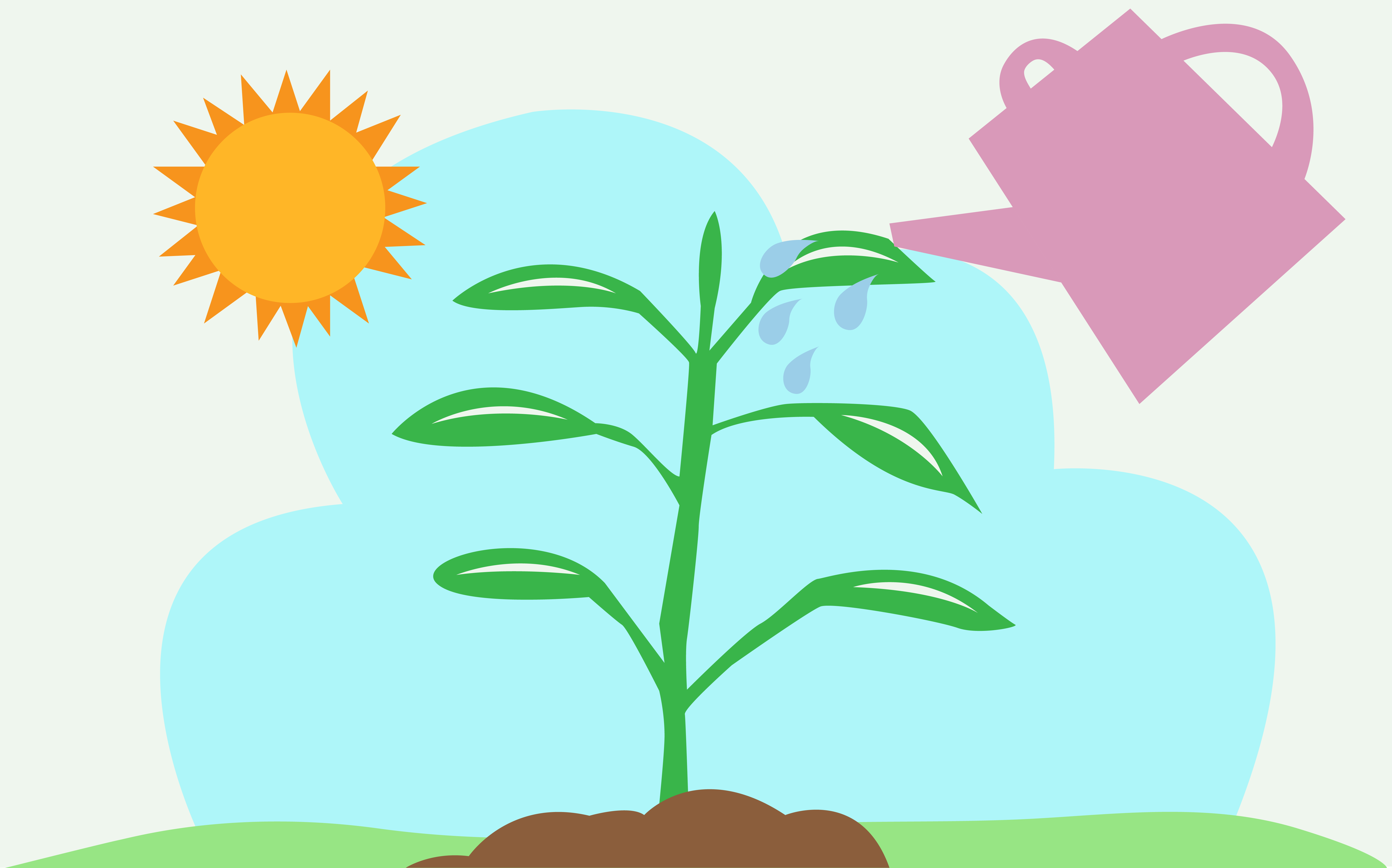A watering can waters a plant under the sun, representing growth.